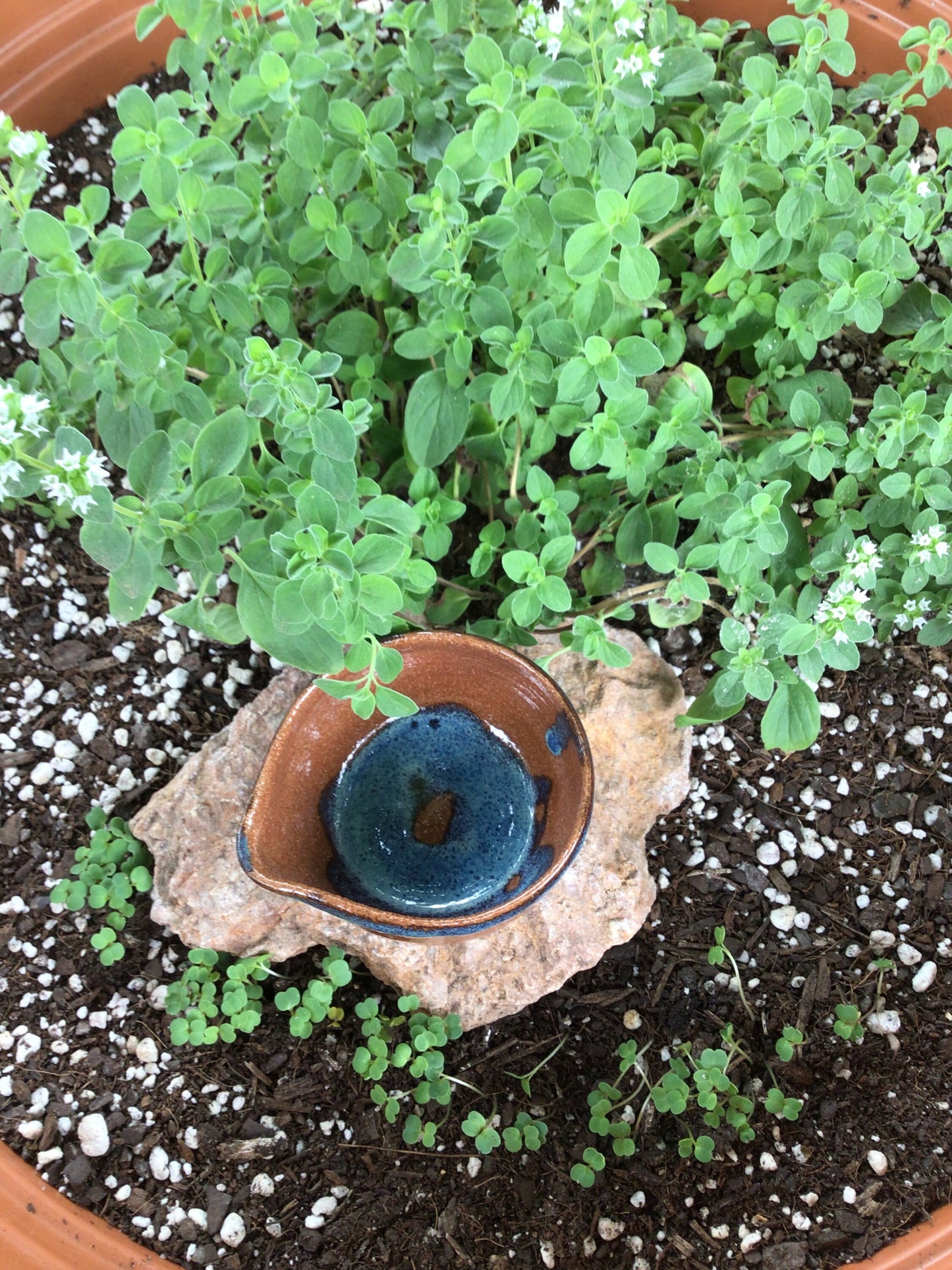 Brown  Pouring Bowl